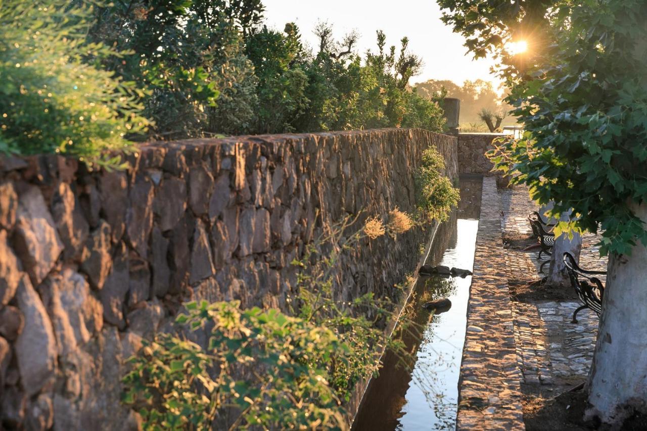 Chateau Saint Roux Le Luc-Le Cannet Des Maures Ngoại thất bức ảnh